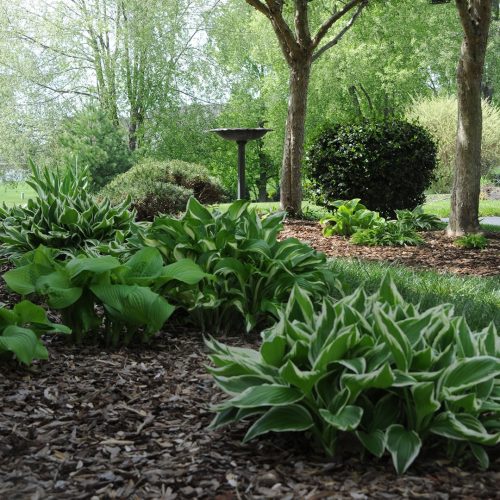 Landscaping Services Bowling Green KY