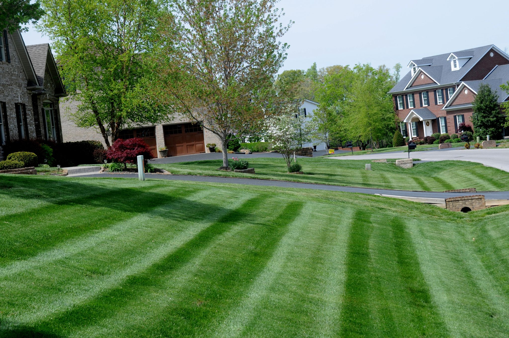 US Lawn & Landscape Turf Management Services