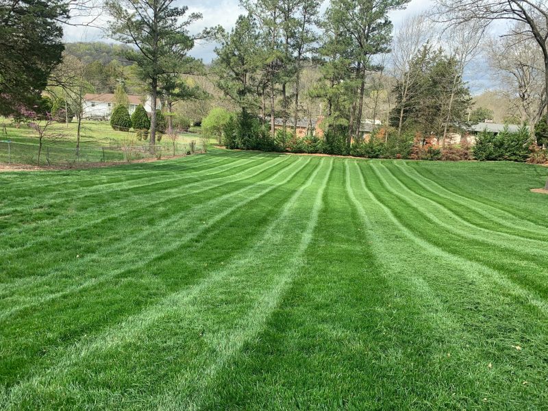 US Lawn & Landscape Turf Management Services