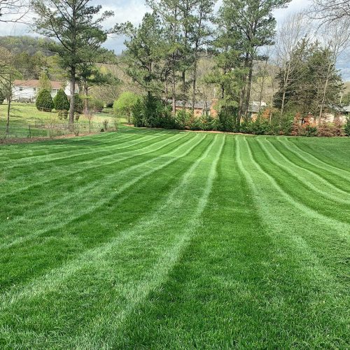 Turf Management Bowling Green KY